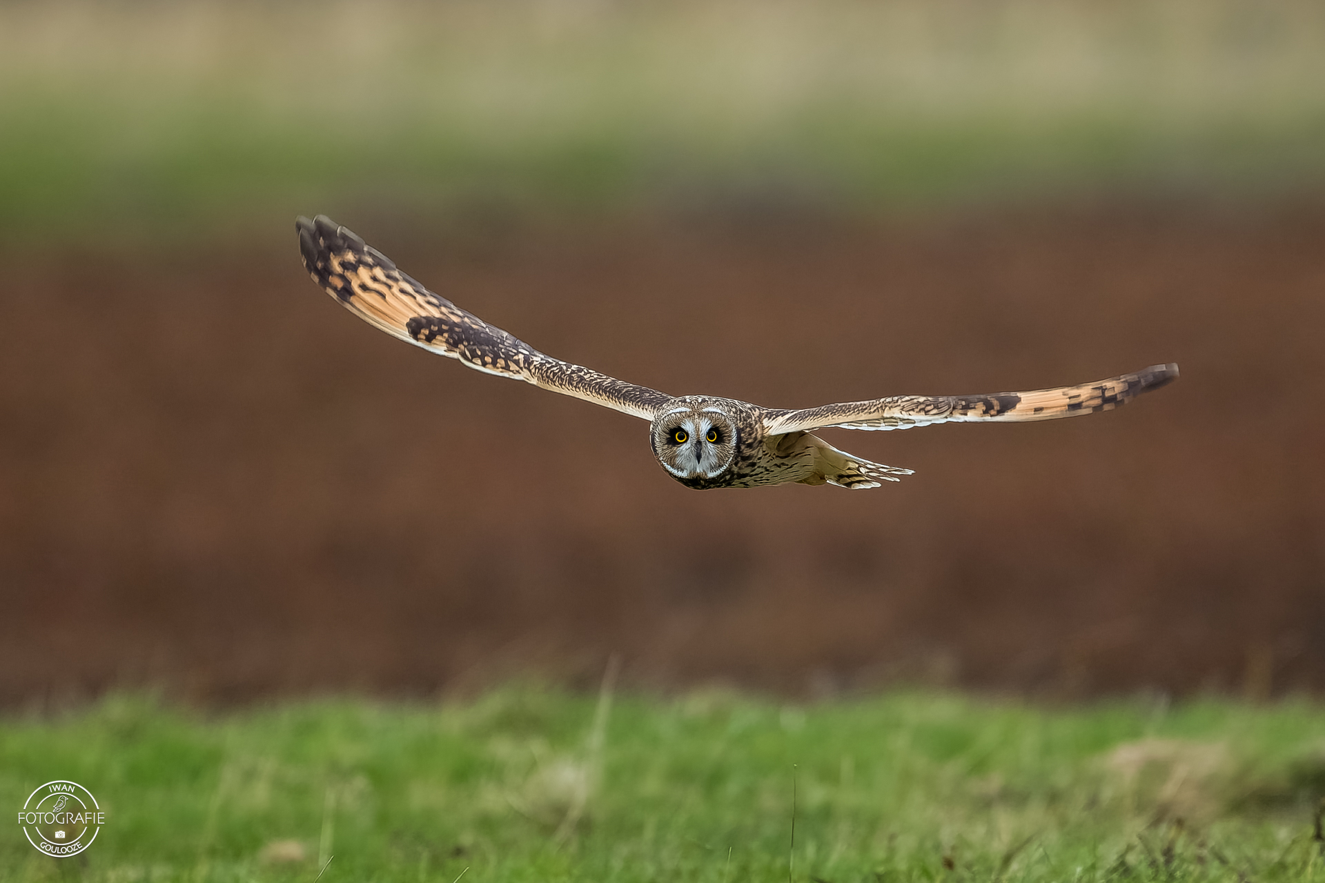 15 oktober 2022 163401 1R2A8920 bewerkt